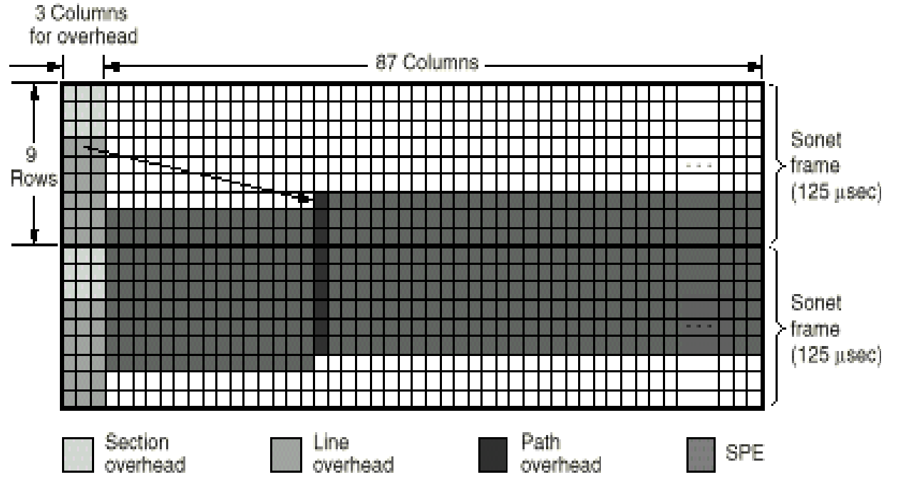 image-20230217123612133