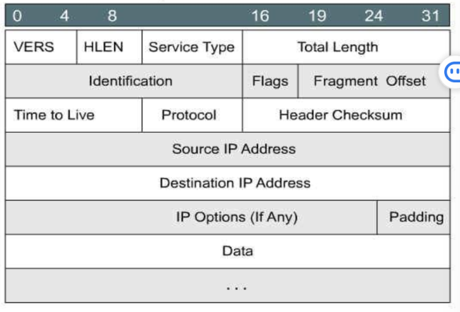 image-20221127194256055