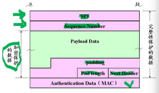 image-20221127220411749